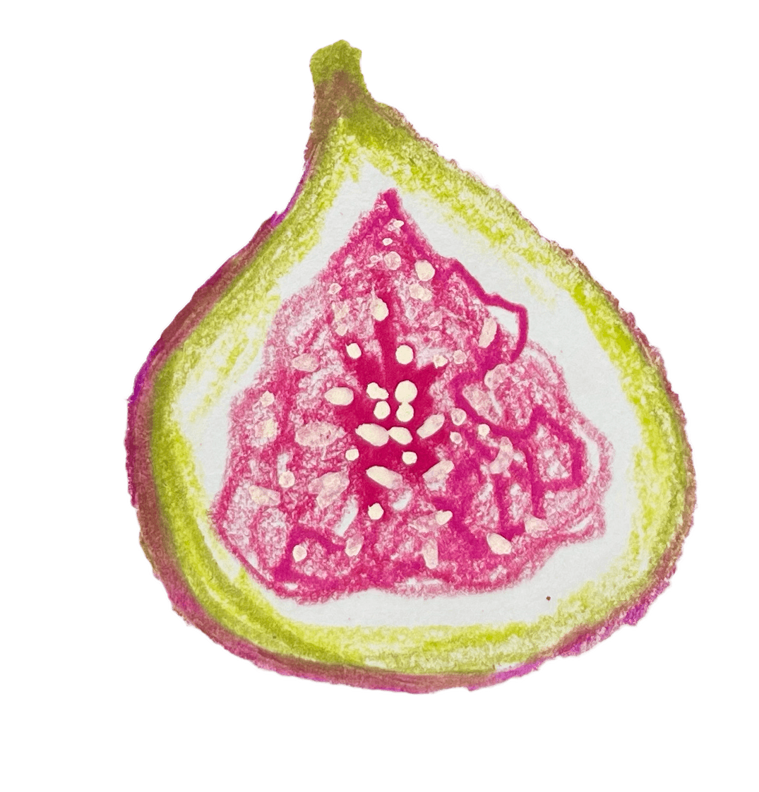 Fig drawing one