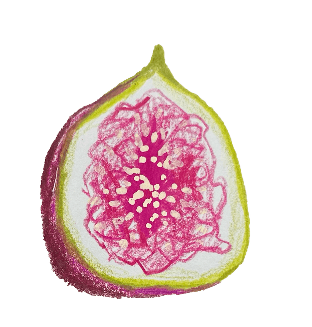 Fig drawing two