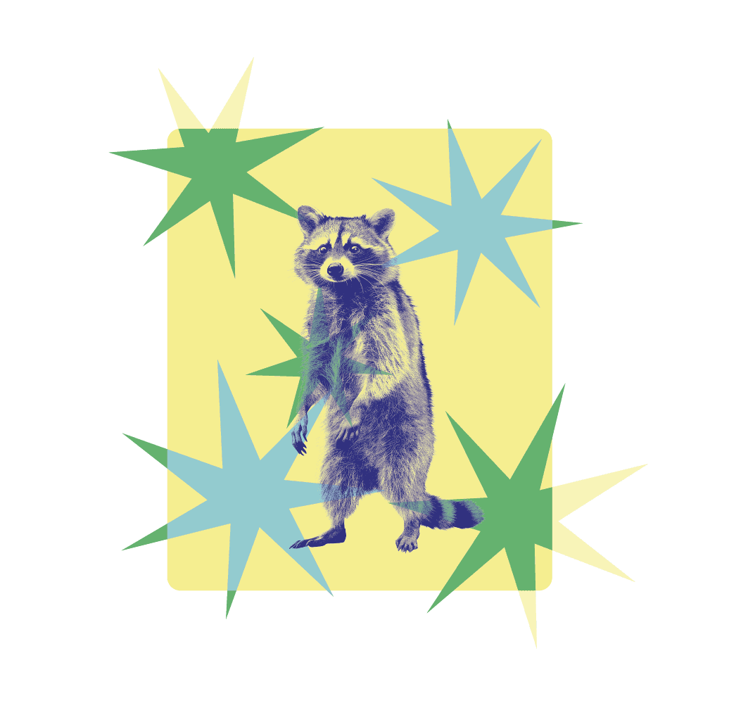 Raccoon sticker illustration